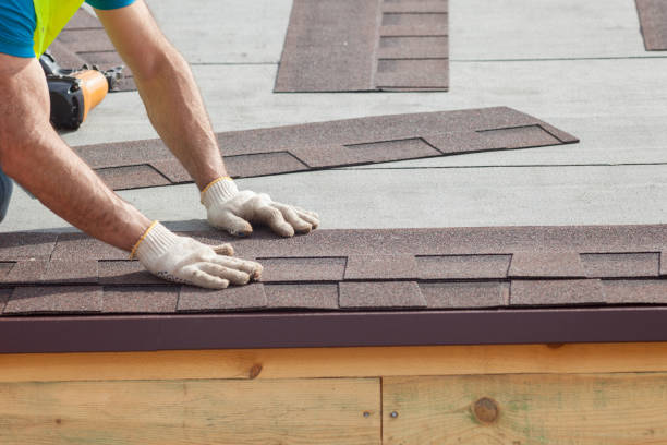 Best Solar Panel Roofing Installation  in Eureka, MO